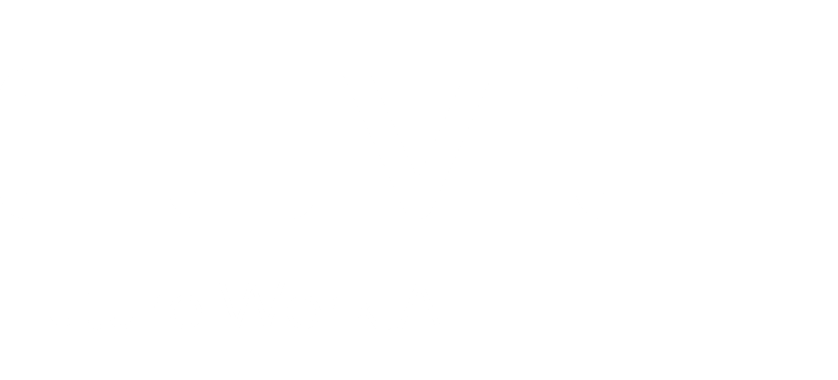 Euvic